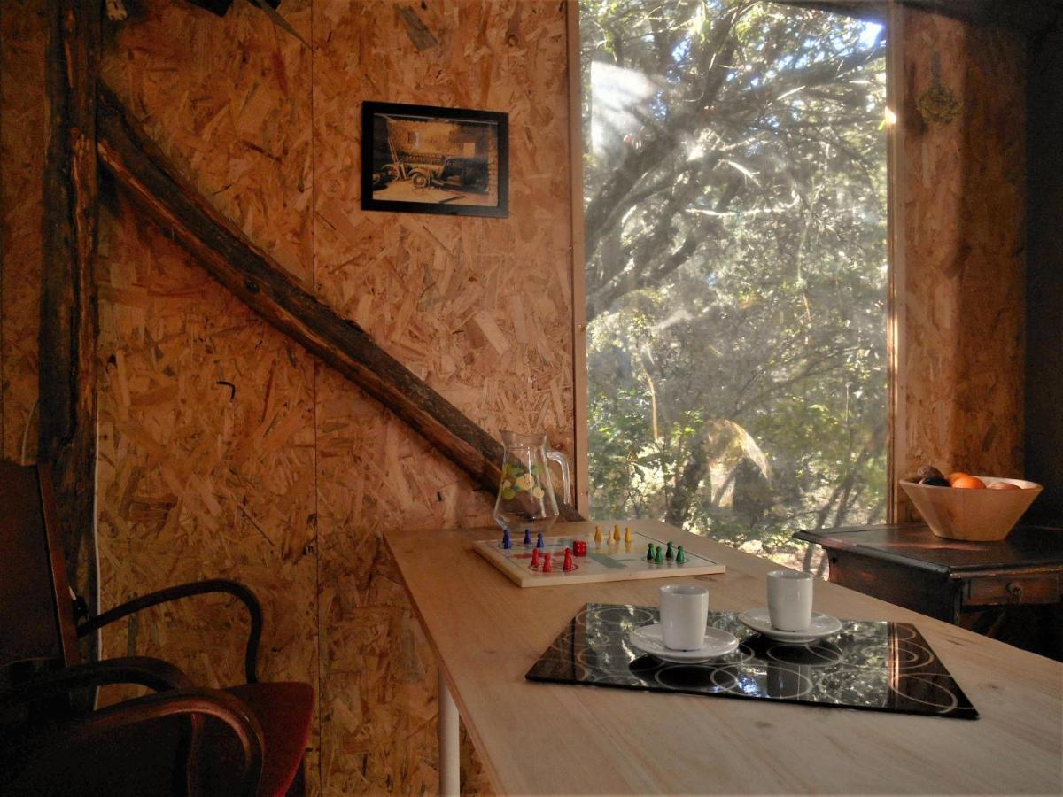 Tipi y Cabaña privada en Sierra de Córdoba Córdoba